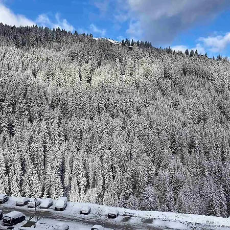 Apartment Grand Familial Proche Des Pistes Avec Balcon Et Wifi - Fr-1-664-34